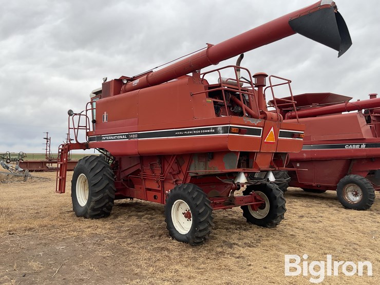 international-1480-image-7