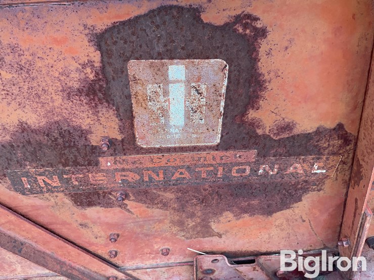 international-7-image-19