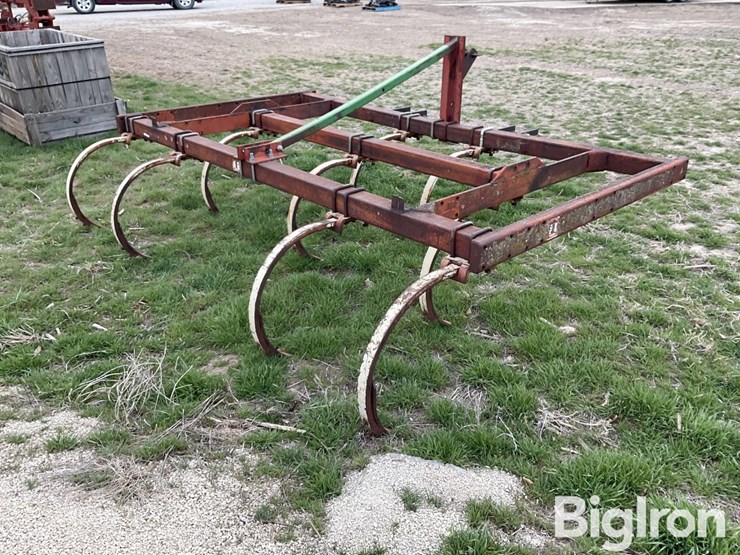 international-55-image-5