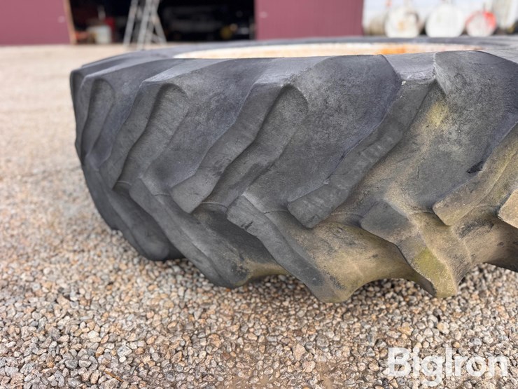 international-1486-image-7