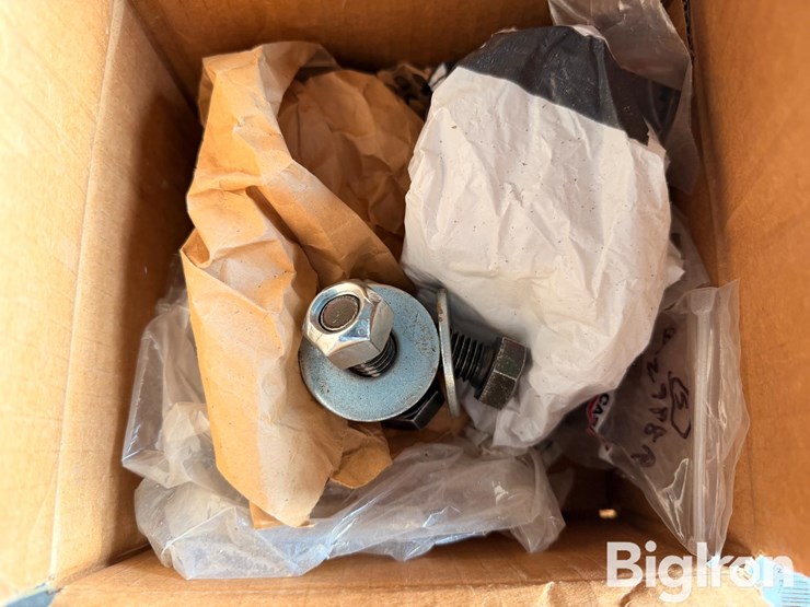 international-490-image-8