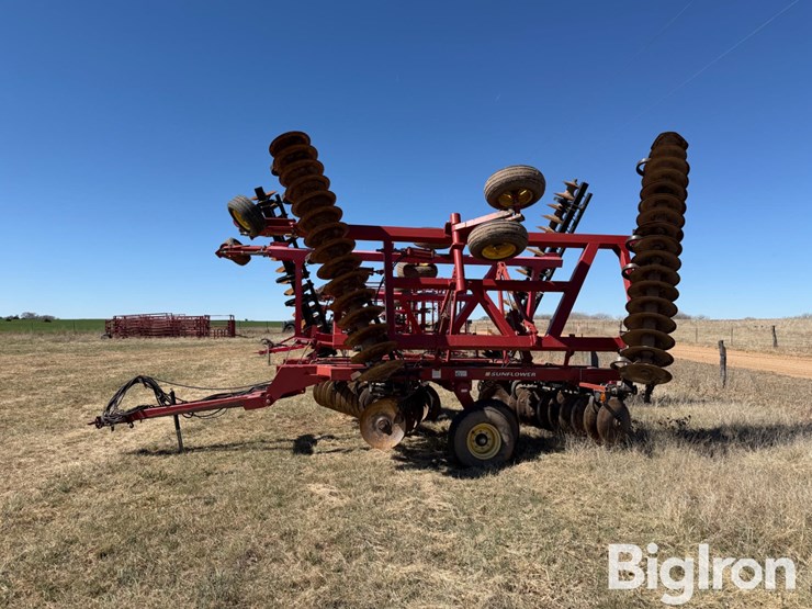 sunflower-1434-36-image-4