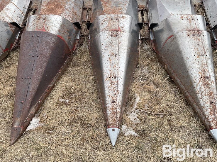 international-963-image-16