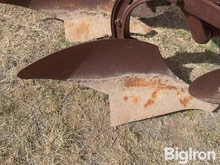 international-3-image-11