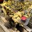 caterpillar-3208-image-20