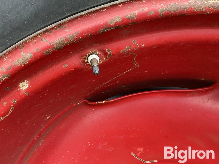 international-1586-image-9