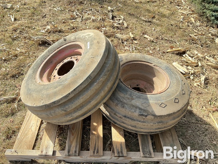 international-8-image-8