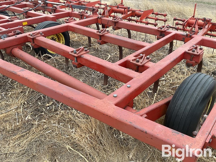 sunflower-2330-image-9