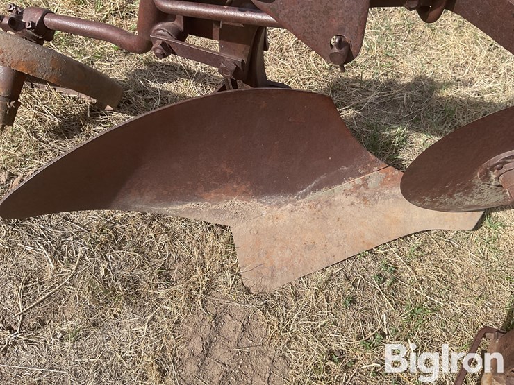 international-3-image-15