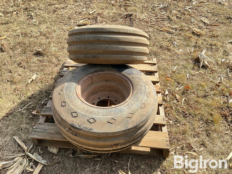 international-8-image-6