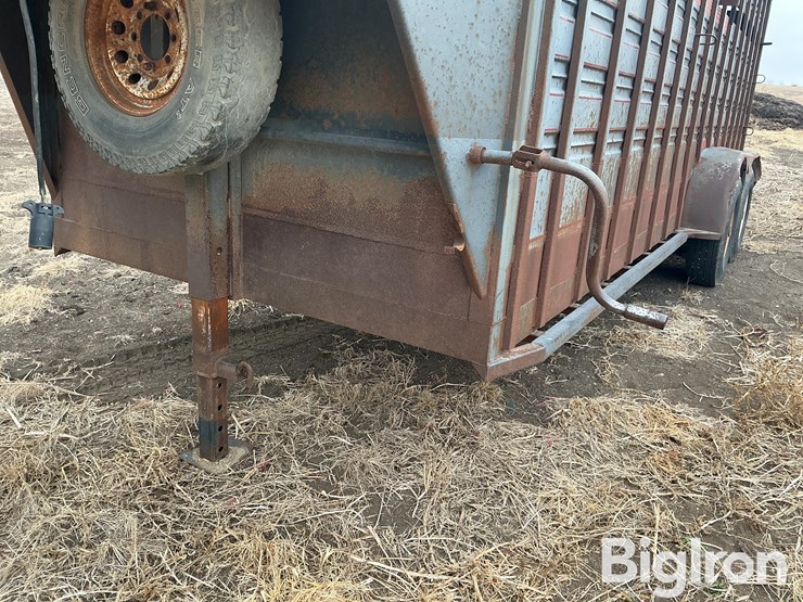 1996-diamond-d-image-19