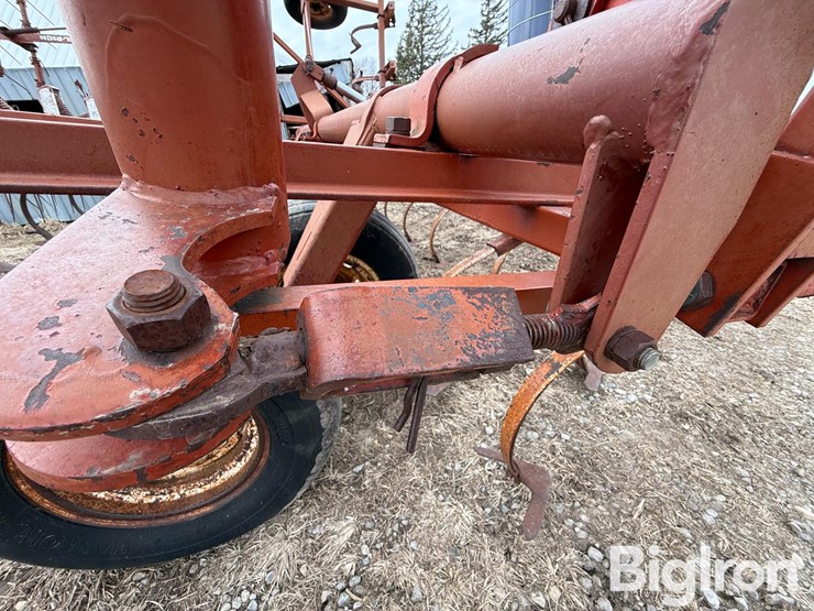 wil-rich-2500-image-16