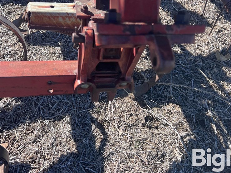 international-45-image-12