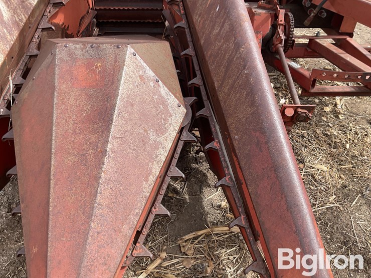 international-555-image-20