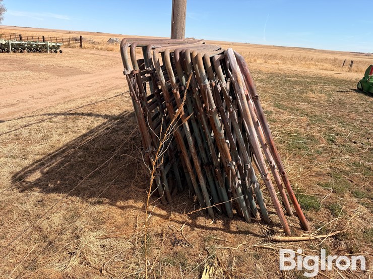 12'-livestock-panels-image-4