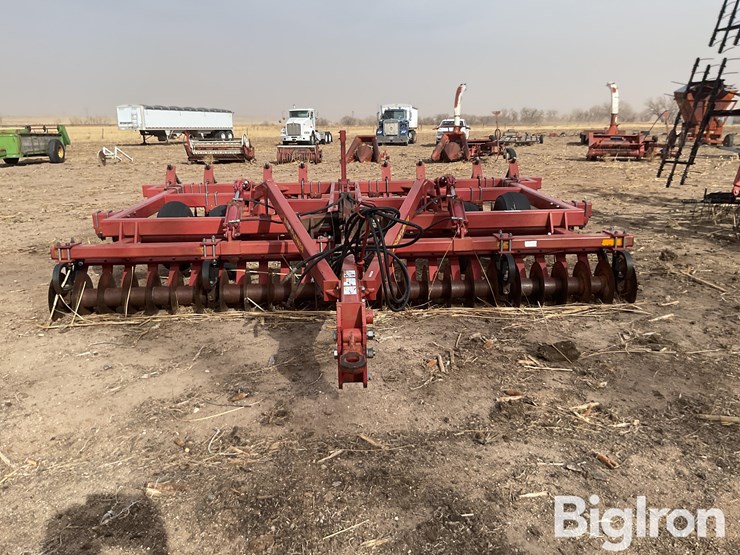 sunflower-4212-image-2