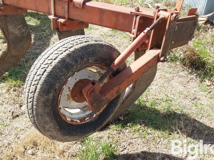 international-10-image-19