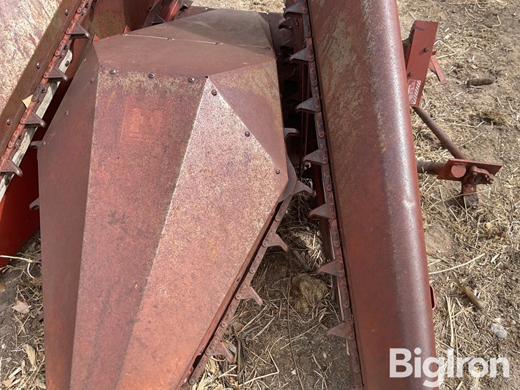 international-555-image-10