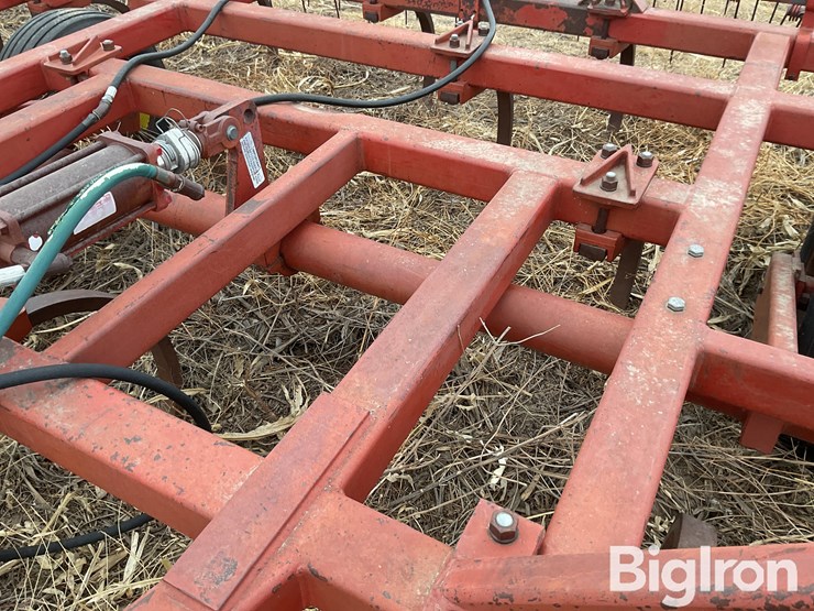 sunflower-2330-image-11