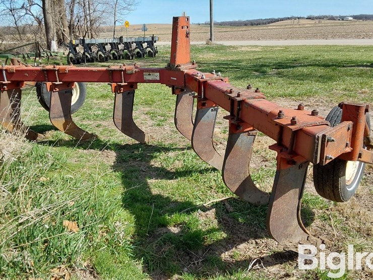 international-10-image-5