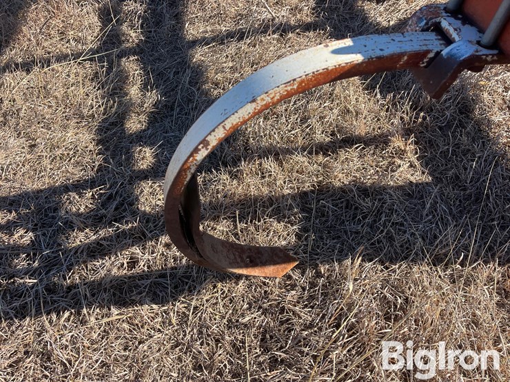 international-55-image-12