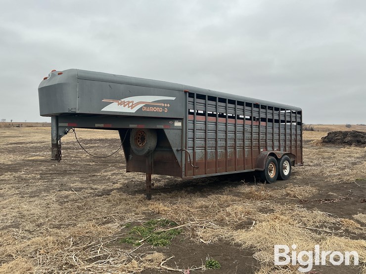 1996-diamond-d-image-1