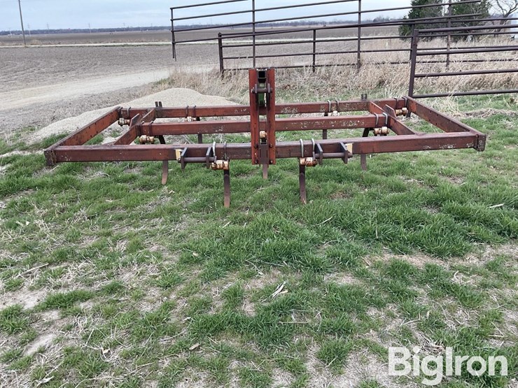 international-55-image-2