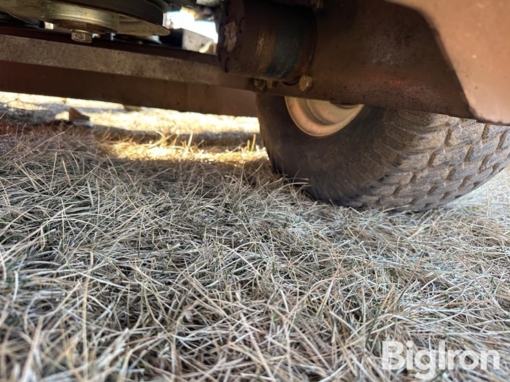 grasshopper-124-image-14