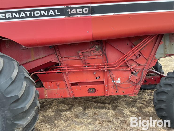 international-1480-image-14