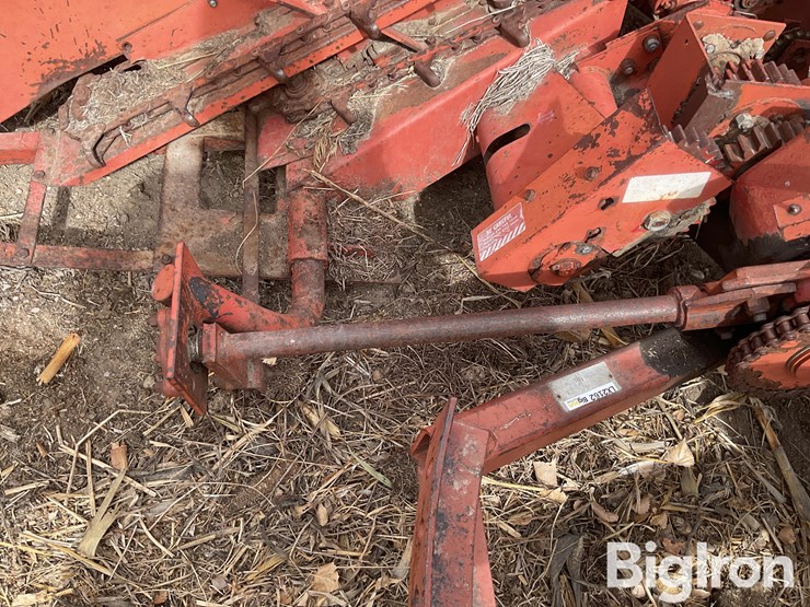 international-555-image-16