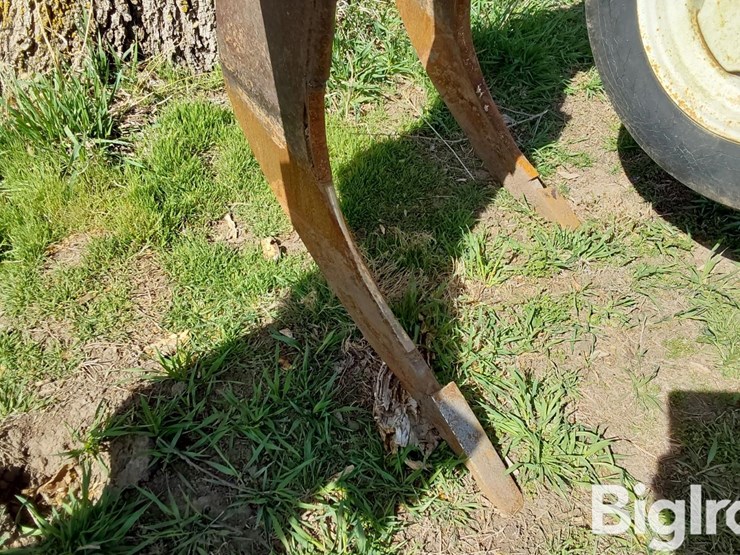 international-10-image-18