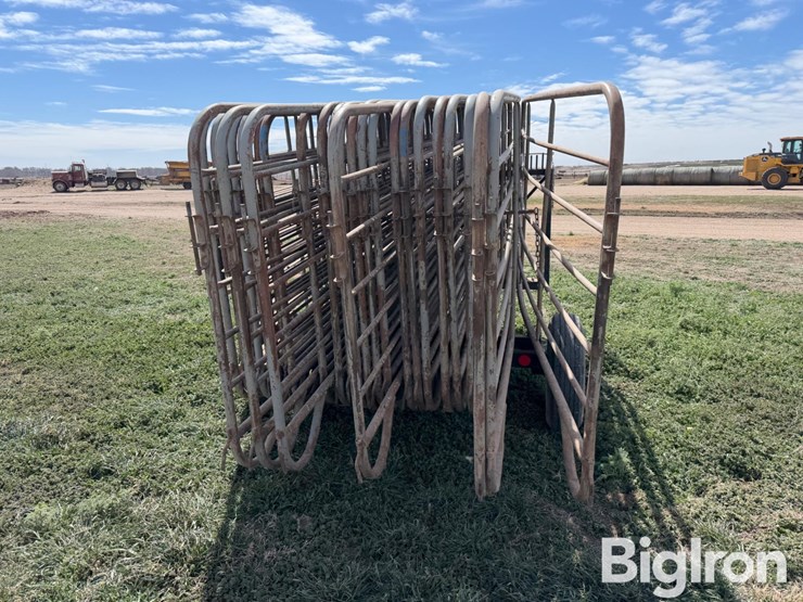 livestock-panels-&-trailer-image-6