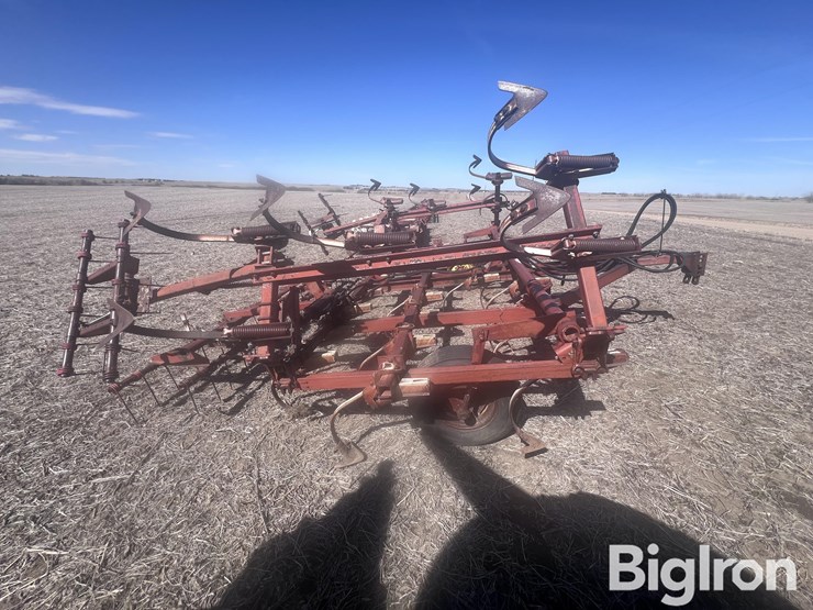 international-45-image-4