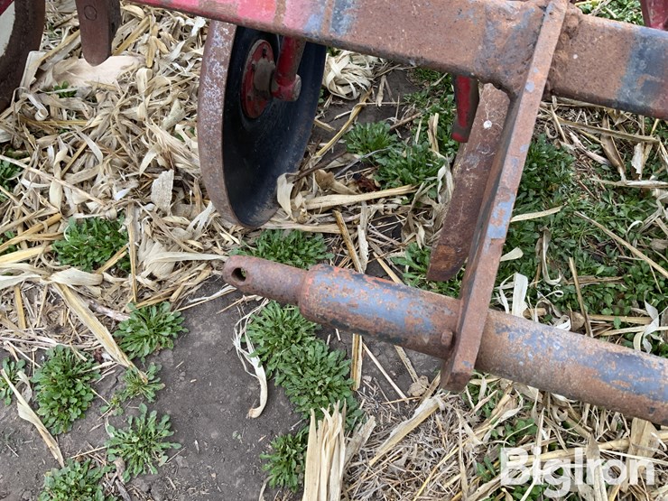 international-470-image-16