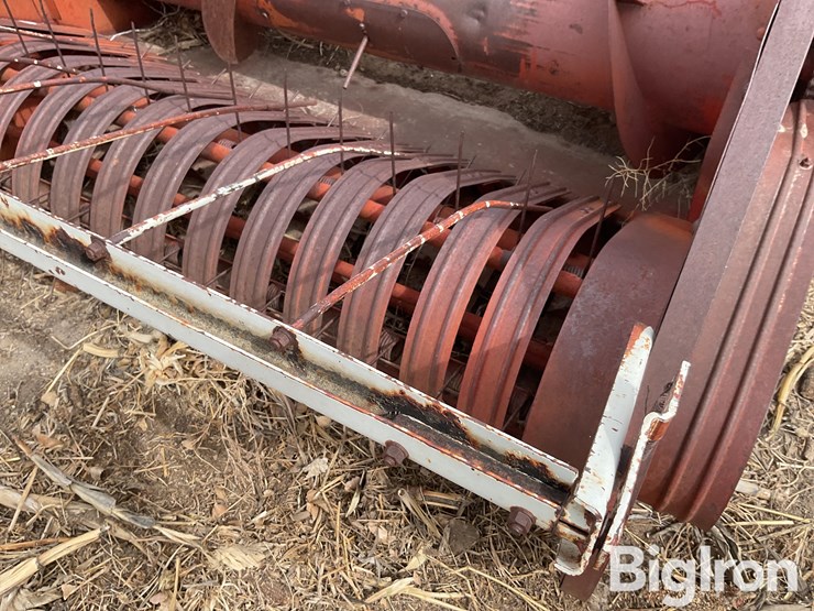 international-5-image-12