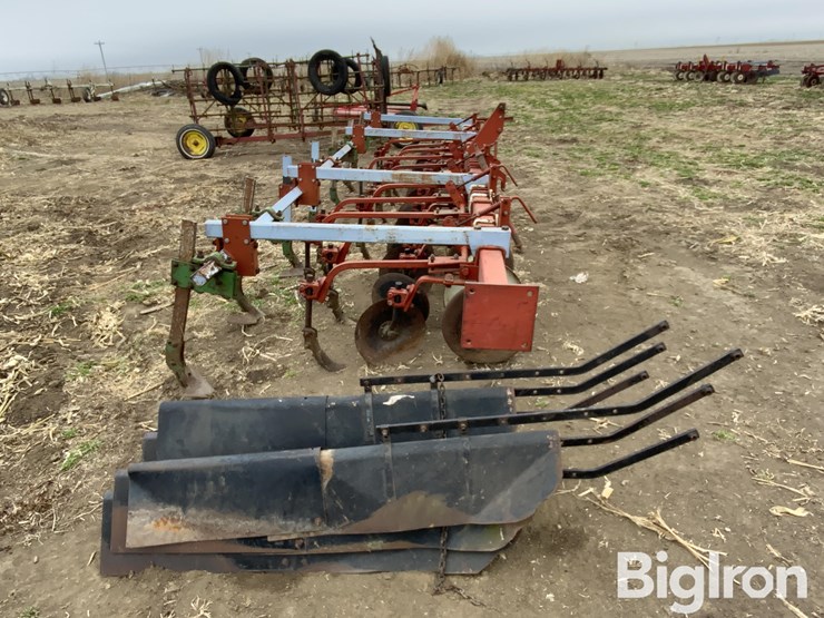 international-170-image-4