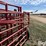 diamond-w-portable-folding-livestock-corral-image-19