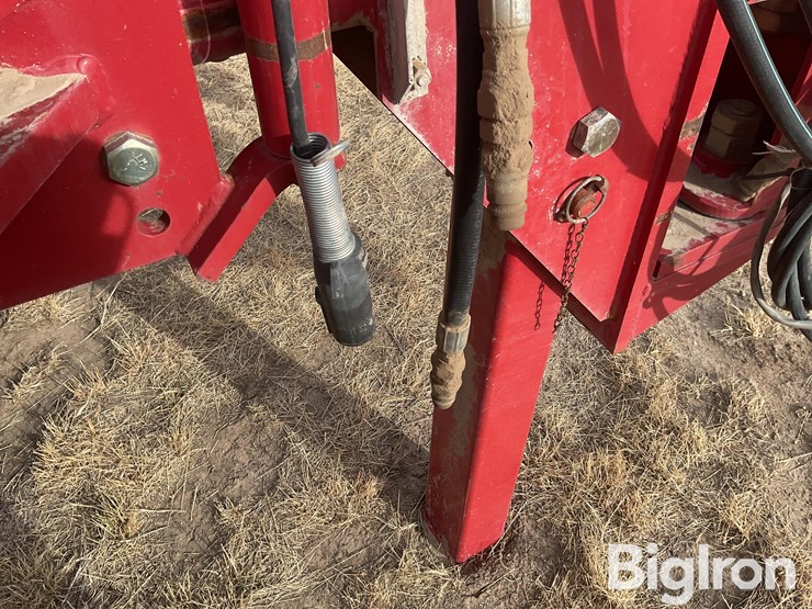 sunflower-9433-30-image-11