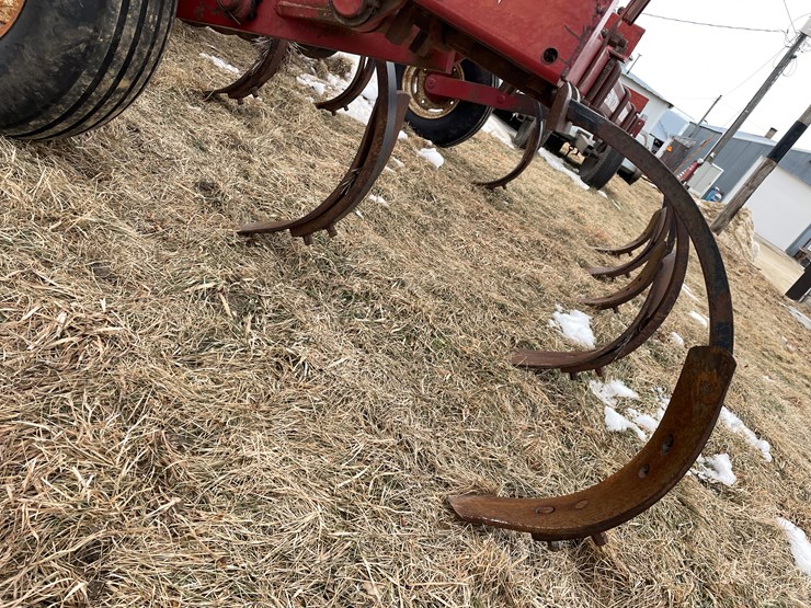 international-9-image-8