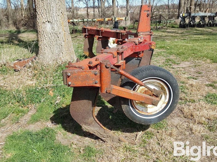 international-10-image-4