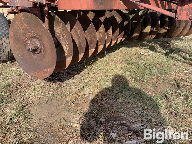 international-470-image-15