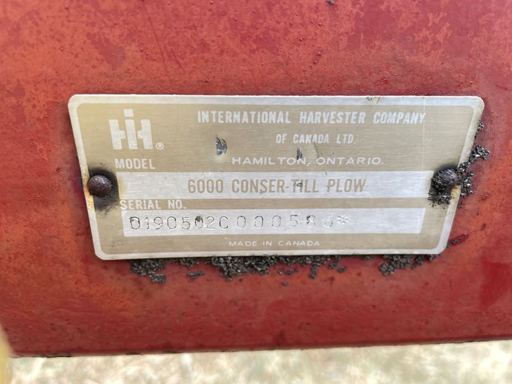 international-9-image-15