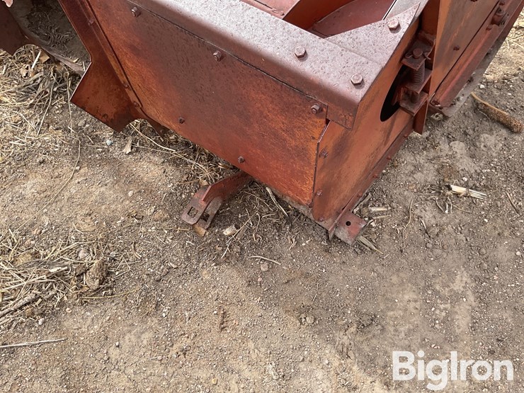 international-5-image-17