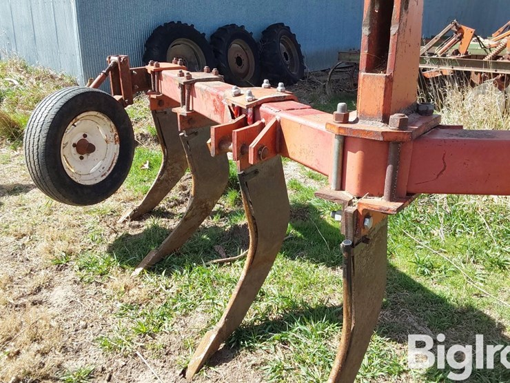 international-10-image-11