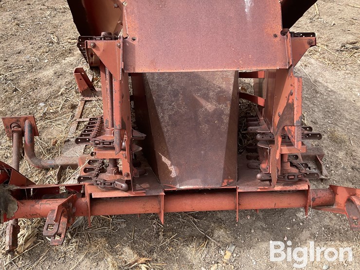 international-555-image-14