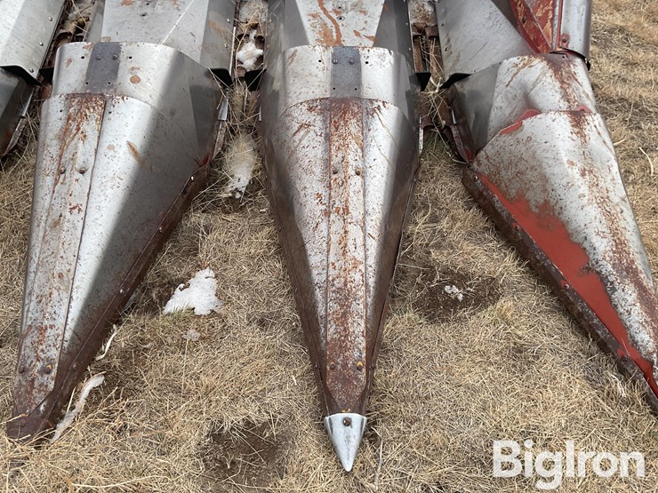 international-963-image-13