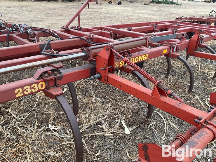 sunflower-2330-image-17