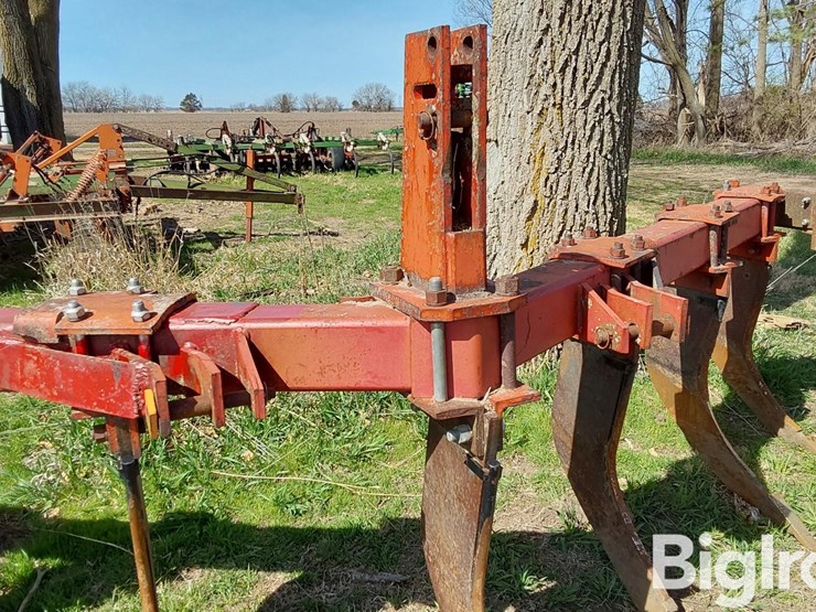 international-10-image-9