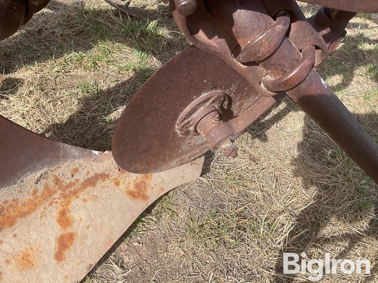 international-3-image-10