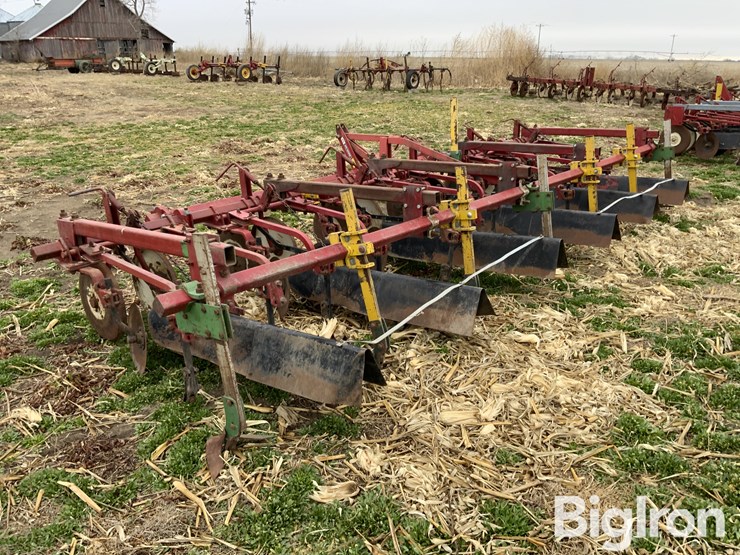 international-470-image-7